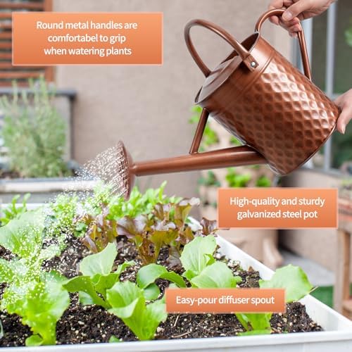 1 Gallon Metal Watering Can for Outdoor Indoor Plants, Copper Colored Watering Can with Removable Spray Spout, Ideal for Garden Watering - Image 3