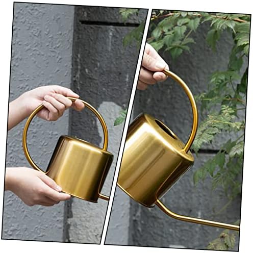 GALPADA Stainless Steel Watering Kettle Long Spout Sturdy 1L Watering Can for Indoor and Outdoor Plants Practical Garden Tool for Plant Care - Image 5