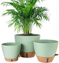 8/10/12 Inch Self Watering Pots for Indoor/Outdoor Plants by Fielda
