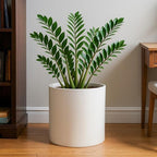 D'vine Dev Plastic Planter Pot with Saucer, 12 in, Oatmeal, 74-X-H-3 - Image 5