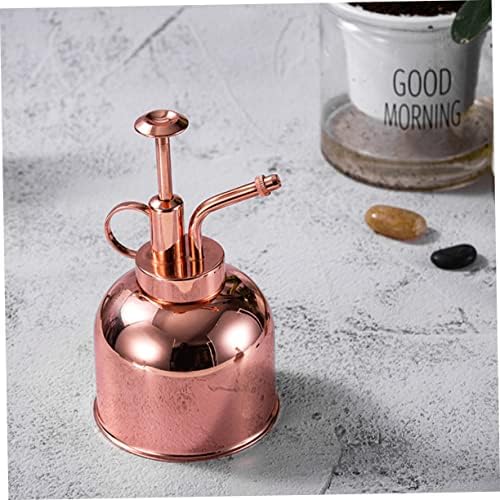 300ml Succulent Watering Bottle with Pump, Stainless Steel - Image 2