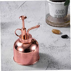 300ml Succulent Watering Bottle with Pump, Stainless Steel - Image 2