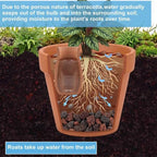 Set of 2 Large Self Watering Terracotta Pots with Lids, 44oz - Image 4