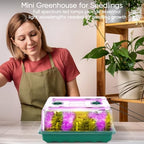 96 Cell Seed Starter Tray with Grow Light, Seed Starting Trays with Adjustable Humidity Dome, Seed Starter Kit Plant Starter Kit for Seeds Growing Starting, Indoor Gardening (No Self-watering) - Image 2