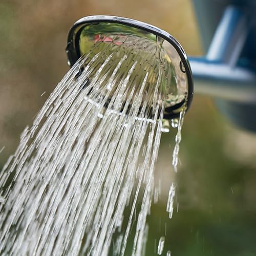 Watering Can Indoor Outdoor Plants 2 Gallon Large Capacity Thickened Long Spout Watering Can with Handle for Gardening Flower Plants (Gray) - Image 3