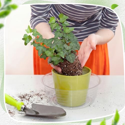 Hoolerry 15 Pcs Plastic Plant Saucer Clear Deep Tray, 10, 12, 14 Inch - Image 4