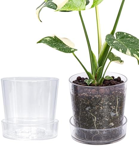 Phoenix Vine 6.5 InchClear Acrylic Planter Pot with Tray, Orchid Pot with Drainage Holes, Deep Saucer for Bottom Watering, Transparent Containers for Indoor Plants, Herbs, Set of 2, 91-A-F-2 by Phoenix+Vine
