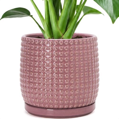 D'vine Dev Beaded Ceramic Pot with Saucer, 8 in, Blush Mauve, 27-C-Q-K by DvineDevPlanterPotsandStand