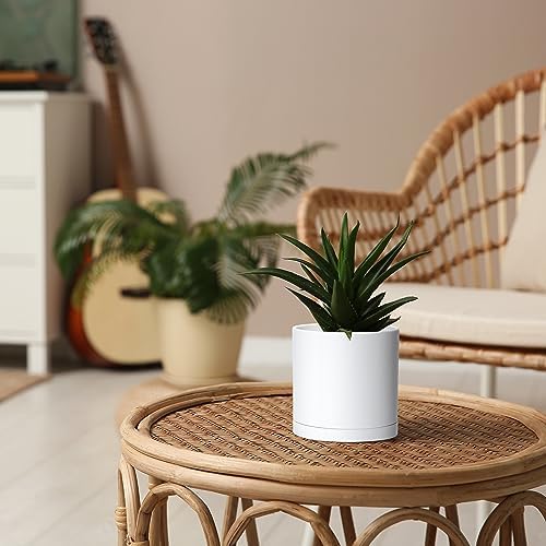 D'vine Dev 4-Pack White Plastic Planters with Saucers, 5 in, 74-Z-G-2 - Image 5