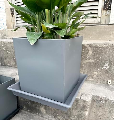 NIMYAU Square Plant Saucer 12 Inch 2 Pack 6 8 10 12 14 16 18 20 Inch, Plant Trays for Pots Heavy Duty Plastic Plant Saucers for Indoors Outdoors, Flower Pot No Holes Plant Drip Trays - Image 3