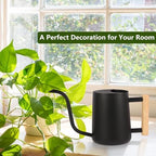 ZJchao Watering Can for Indoor Plants, 1000ML Retro Stainless Steel Plant Waterer with Long Spout for House Plants Bonsai Outdoor Garden Flower Decorative (Black) - Image 5