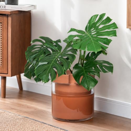 Phoenix Vine 10 Inch Self Watering Planter Pot, Terracotta Clay Pot with Glass Reservoir for Indoor Plants, Herbs, Flowers, Set of 1, 52-A-I-1 - Image 2