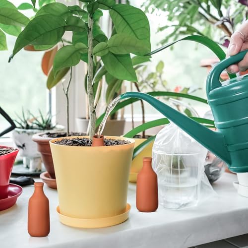 DoubleFill Ollas Terracotta Watering Pots, 24 oz, 6 Pcs - Image 6