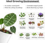 10 Pack 4" Self Watering Small White Plant Pots for Indoor Plants, Clear Inner Cup, Water Level Indicator, Drainage Holes & Wick, for Cuttings, Seedlings, Herb, African Violet, Hoya, Begonia - Image 5