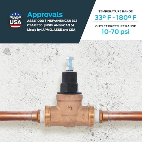 Cash Acme EB45 Pressure Regulating Valve, 1/2 Inch NPT Threaded, Poly Top, 60 PSI, PVA08P-DTH-60 - Image 4