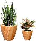 10 in Self-Watering Planters, 10 Inch, 2-Pack, Light Brown by Noeko