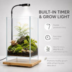 Desktop Glass Plant Terrarium with Grow Light (5.9" x 5.9" x 9") & Bamboo Base, Enclosure Kit with Watering Bottle for Carnivorous Plants, Venus Flytrap, Moss & Betta Fish, Home Office Decor - Image 3