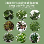 Chrysal LeafShine Spray for Indoor Plants (25oz 6 Pack) - Image 2