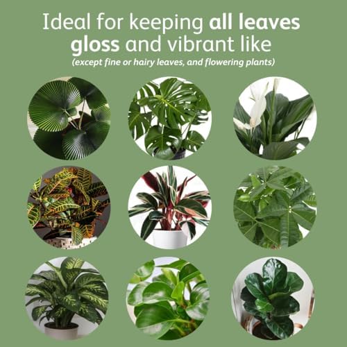 Chrysal LeafShine Spray for Indoor Plants (25oz 6 Pack) - Image 2