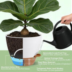 Self Watering Pots with Water Level Indicator, 12" 10" 9" 8" Large Plastic Flower Pots with Mesh Drainage Hole and Removable Saucer Reservoir for Indoor Outdoor Plants (White) - Image 4