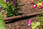 Hunter HDL Dripline CV, 250 ft Drip Irrigation Tubing, 0.6 GPH - Image 5