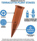 Modern Innovations Ceramic Terracotta Self Watering Spikes (60 Pack), Automatic Plant Waterers for Indoor or Outdoor Planters, Terra Cotta Stakes for Potted Plants - Image 2