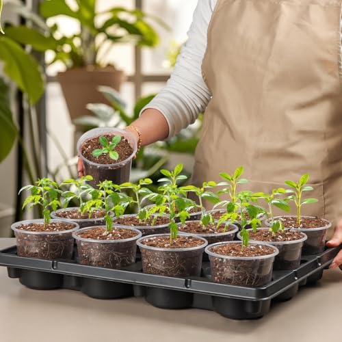 RooTrimmer 12 Cell Nursery Pot Trays 5 Pack with 4 Inch Clear Plant Pots 60 Pack, Thick Sturdy Seeds Starting Germination Shuttle Carrying Trays, Black Small Planter Nursery Propagation 5 Sets - Image 6