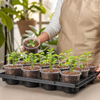 RooTrimmer 12 Cell Nursery Pot Trays 5 Pack with 4 Inch Clear Plant Pots 60 Pack, Thick Sturdy Seeds Starting Germination Shuttle Carrying Trays, Black Small Planter Nursery Propagation 5 Sets - Image 6