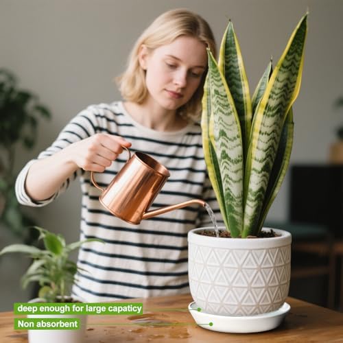 Ceramic Plant Saucer Tray 10 11 12 Inch White, 12.7" OD x11 ID x2 Deep| Round Sturdy Heavy Duty Glazed Bevel Planter Drip Flower pots with Catch Basin for Indoor Outdoor Plants - Image 5