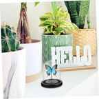 Mikinona Small Glass Dome Display Case with Black Base for Decor - Image 7