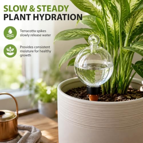 26 oz Extra Large Plant Self Watering Globes XXL for Outdoor Indoor (6Pack) - Image 7