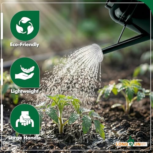 Galvanized Iron Watering Can for Indoor Plants, Bowl Watering Cans for House Plant Garden Flower, Long Spout Water Can for Outdoor Watering Plants 8.71L 2.3 Gallon Silver - Image 5