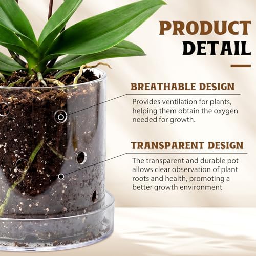 6/7 Inch Clear Acrylic Orchid Planter Pot with 360° Round Holes & Tray - Image 3