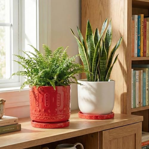 Eightpot 2 Pack Plant Plates to Catch Water, Plant Trays for Pots Indoor Outdoors, 7.5 Inch Plants Water Catcher Tray, Round Flower Pot Saucers, Modern Decorative Dishes to Catch Water, Red - Image 6