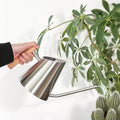 Modern Indoor Watering Can with Long Spout, Wooden Handle, 3 Colors - Black, White, Silver (Stainless Metal Desing) by GROW24