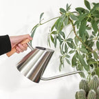 Modern Indoor Watering Can with Long Spout, Wooden Handle, 3 Colors - Black, White, Silver (Stainless Metal Desing) by GROW24