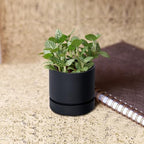 Phoenix Vine 4 Inch Planter Pot with Drainage Hole & Saucer, Deep Water Catch Tray, Straight Cylindrical Round Pot for Plants, Matte Black, Pack of 6, 23-C-R-6 - Image 7