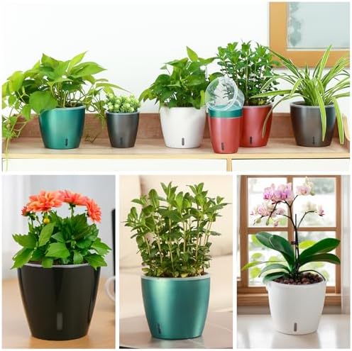 Self Watering Pots for Indoor Plants, 12-Pack 5'' Self Watering Planter with Drainage Holes, Small African Violet Pots with Water Indicator, Clear Wick Pot, White/Black/Blue/Rose Gold - Image 2