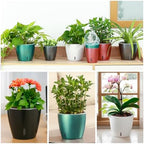 Self-Watering Pots for Indoor Plants, 8-Pack 6.7'' Self Watering Planter with Drainage Holes, Small African Violet Pots with Water Indicator, Clear Wick Pot, White - Image 5