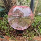 Automatic Plant Watering Globes 500ML Top Fill Drip Irrigation (Pink, 1pc) - Image 3
