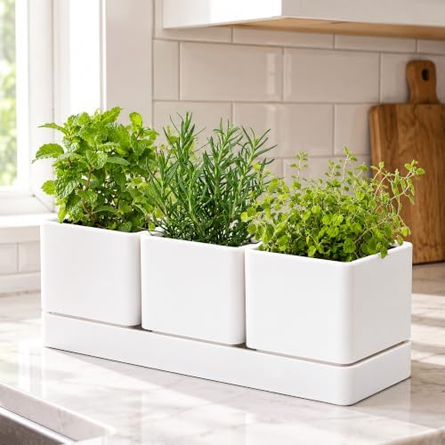 D'vine Dev Plastic Herb Garden Planter Set, White, 76-V-A-1 - Image 2