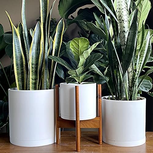 D'vine Dev 3-Pack Plastic Pots & Saucers, 8/10/12 in, White, 74-V-A-5 - Image 3