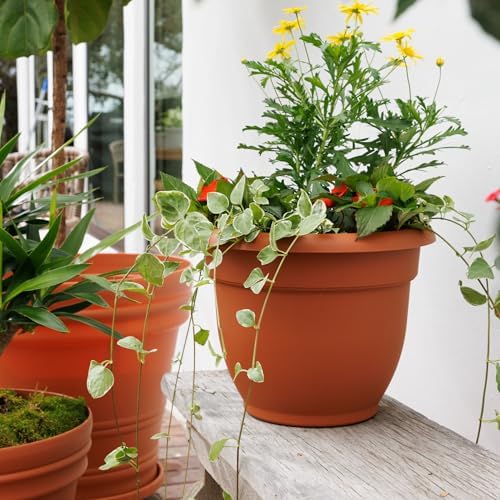 Bloem Ariana 10" Plastic Self-Watering Planter, Terra Cotta, 4-Pack - Image 2