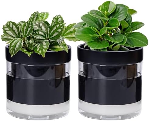 Phoenix Vine 6 Inch Self Watering Planter Pot, Black Terracotta Clay Pot with Glass Reservoir for Indoor Plants, Herbs, Flowers, Set of 2, 52-C-F-2 by Phoenix+Vine