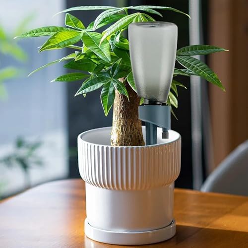 Plant Watering Spikes 6 Pieces Automatic Irrigation Stakes with Control - Image 2