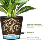 8 Inch Self Watering pots for Indoor, 6 Pack Plastic Plant Pots with Drainage Holes, Black - Image 6