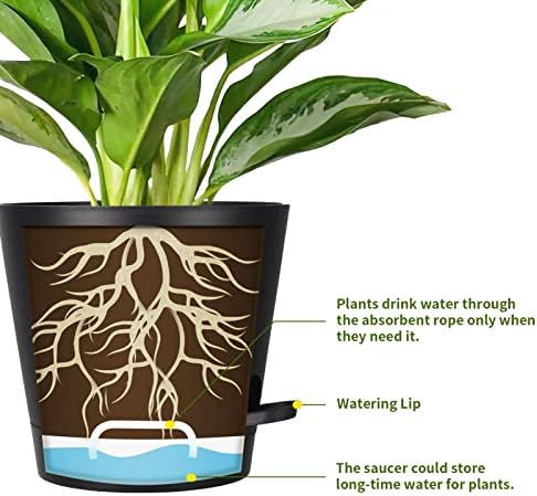 8 Inch Self Watering pots for Indoor, 6 Pack Plastic Plant Pots with Drainage Holes, Black - Image 6