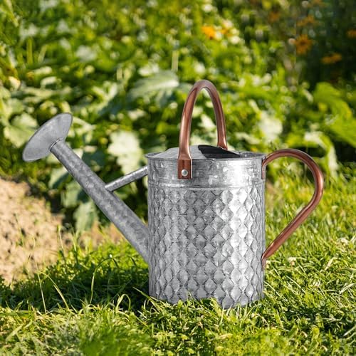 1 Gallon Metal Watering Can for Outdoor Indoor Plants, Galvanized Watering Can with Removable Spray Spout, Ideal for Garden Watering - Image 5