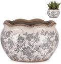 Geetery Ceramic Planter Pot 9.6 Inch Round Plant Pot, Floral, Grey, Medium by Geetery