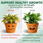 Plant Watering Globes Set of 6, Large - Glass Self Watering Globes - Image 3